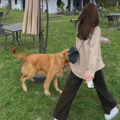 首尔彩虹