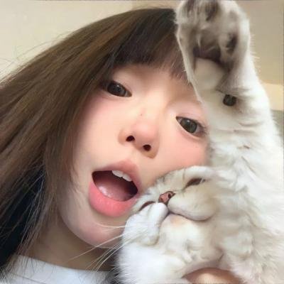 大宋奇案之狸猫换太子传奇